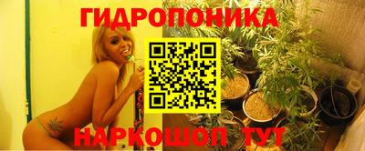 apvp Канаш